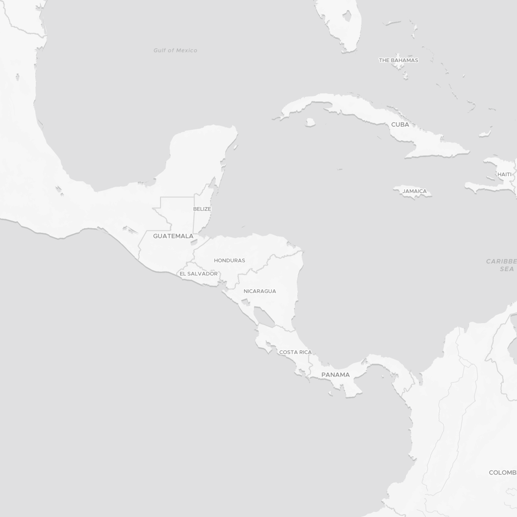 MapStyle.DATAVIZ.LIGHT