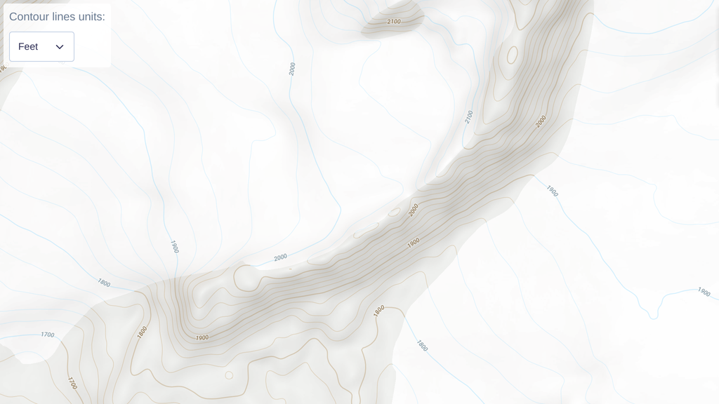 Switch between contour lines heights in meters and feet. JavaScript